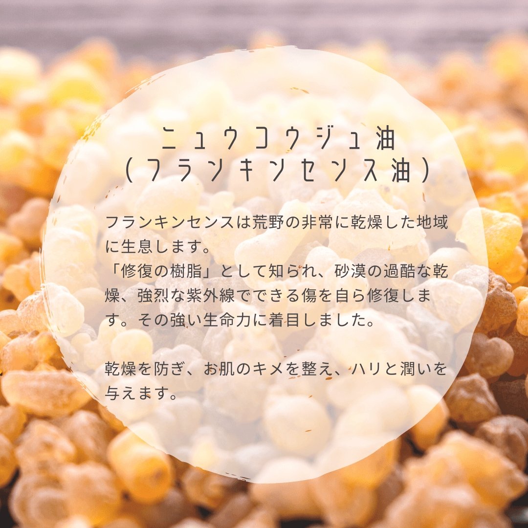 ボタニカルモイストローション(化粧水)100ml  - LA VIE STELLA