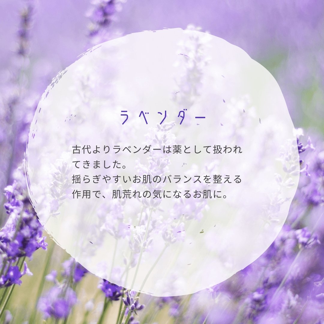 ヴィーガンソープ(ラベンダー石鹸)  - LA VIE STELLA
