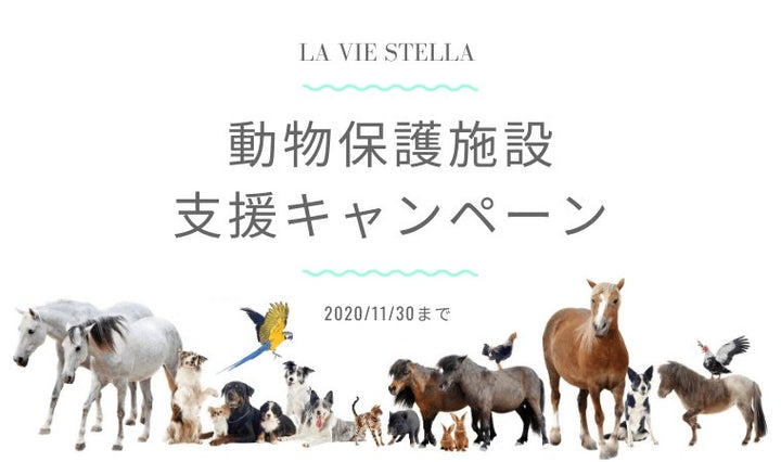 動物保護施設支援キャンペーン寄付金のご報告 - LA VIE STELLA